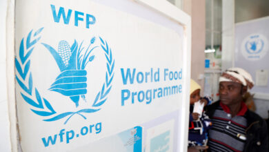 World Food Programme Internship (WFP Internship) - Legal Office, WFP HQ Rome, Italy
