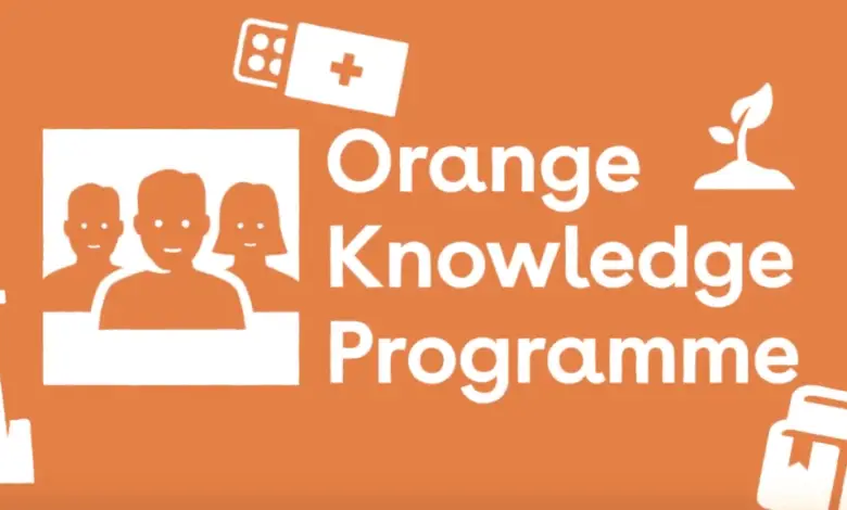 The Orange Knowledge Programme to study in the Netherlands: Applications for round 2 will open on the 28th of June 2023