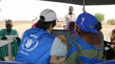 The World Food Programme (WFP) Regional Bureau in Cairo is looking for M&E candidates
