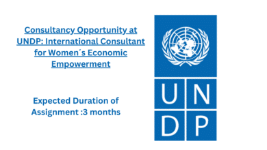 Consultancy Opportunity at UNDP: International Consultant for Women´s Economic Empowerment