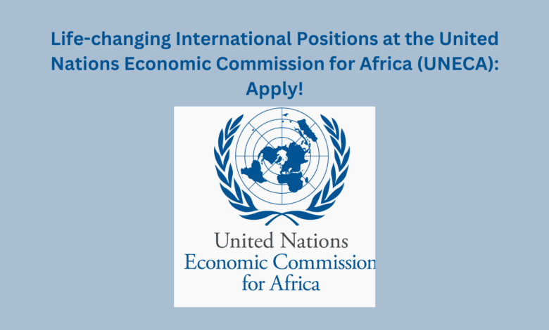 Life-changing International Positions at the United Nations Economic Commission for Africa (UNECA): Apply!