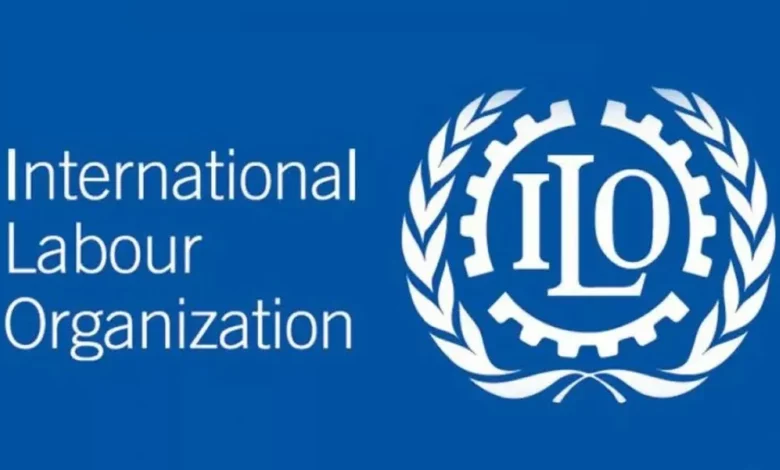 Technical Officer Vacancy at International Labour Organization (ILO)