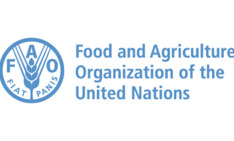 FAO headquarters (HQ): FAO Regular Volunteers Programme