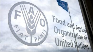 Europe and Central Asia (REU): FAO Regular Volunteers Programme