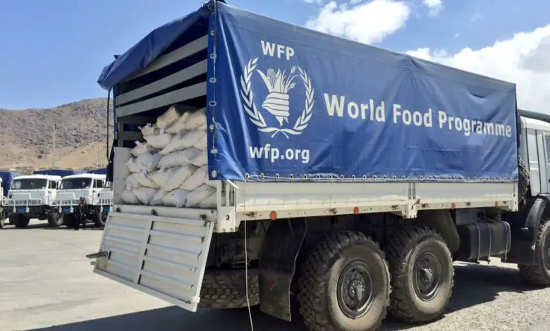 Evaluation Officer P3 (Impact Evaluation) International Position at the World Food Programme (WFP)