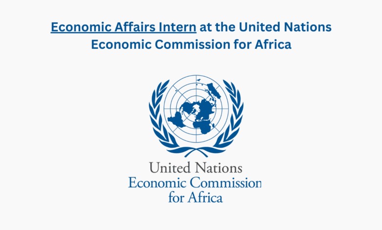Economic Affairs Intern at the United Nations Economic Commission for Africa