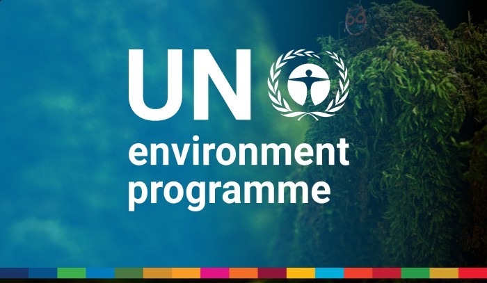 Program Management Officer P3 Vacancy at the United Nations Environment Programme (UNEP)