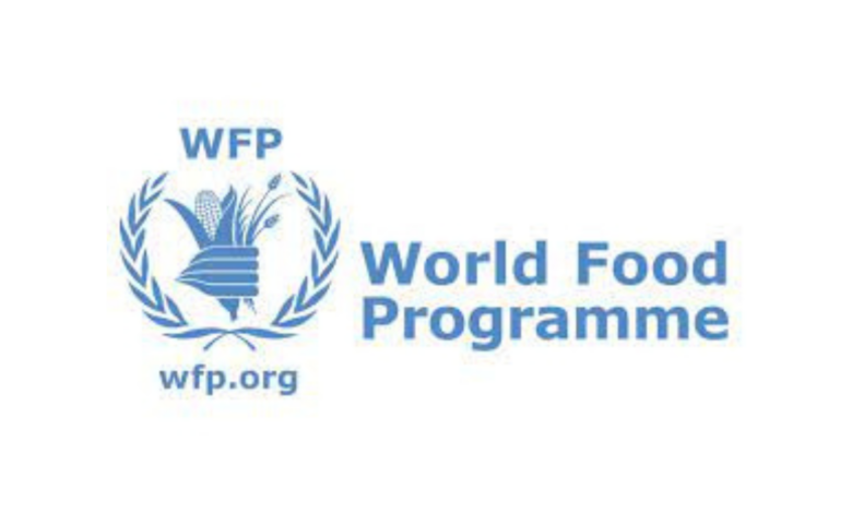 Human Resource Internship (2023) at WFP Regional Office in Cairo, Egypt