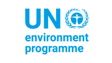 Home-Based Internship Opportunity at the United Nations Environment Programme (UNEP): Environment Affairs