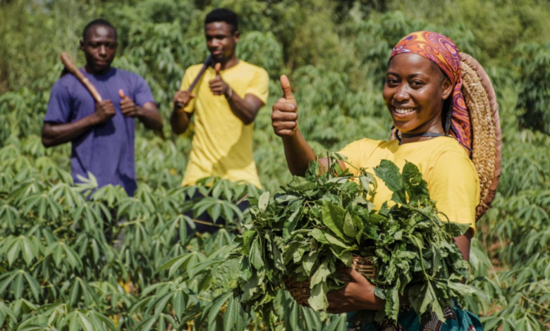 USAID and Norway Launches New $ 70 Million Fund to Support farmers and agricultural businesses