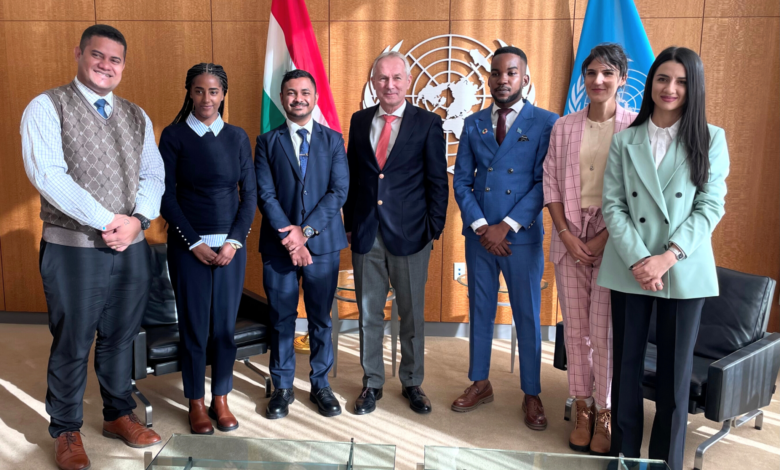 The President of the General Assembly Fellowship Programme for young diplomats and civil servants from developing countries (New York)
