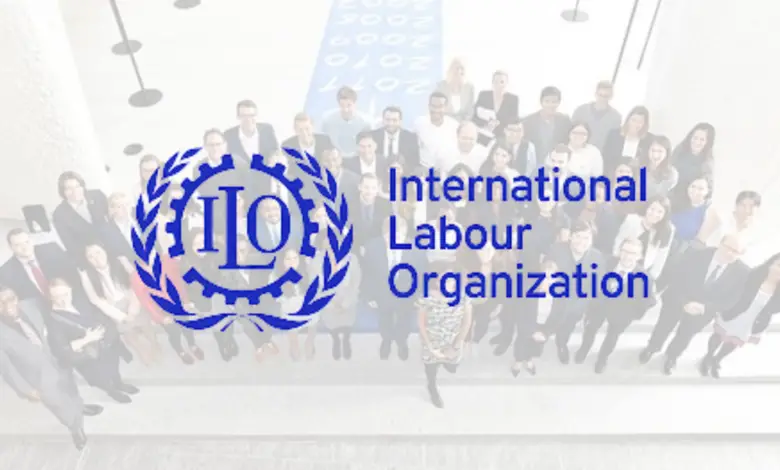 ILO Internship Programme (29 internship vacancies)