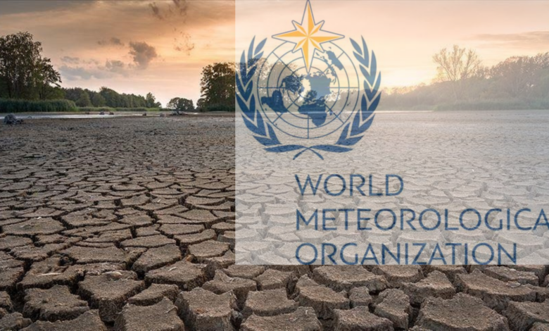 Programme Officer - Early Warning for All Initiative (EW4All) Position at the World Meteorological Organization (WMO)