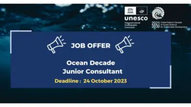 Individual Consultant to act as Junior Consultant at UNESCO