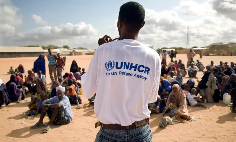 Health Support Coordination Officer Position at UNHCR! Apply