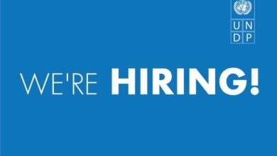Home-based International Monitoring and Reporting Specialist Role at UNDP