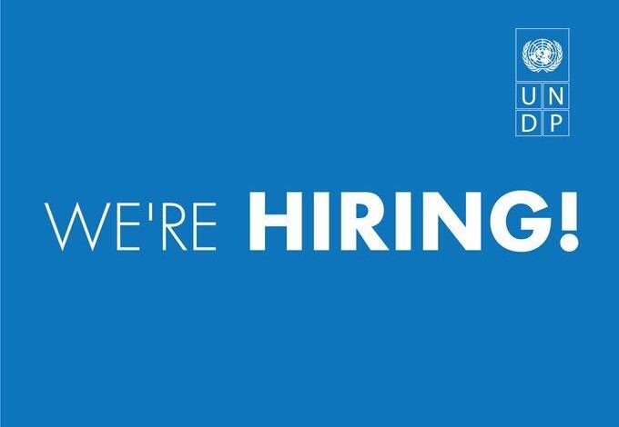 Home-based International Monitoring and Reporting Specialist Role at UNDP