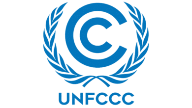 Remote Internship Assignment at the United Nations Framework Convention on Climate Change (UNFCCC)