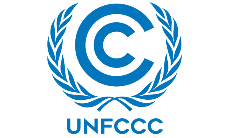 Remote Internship Assignment at the United Nations Framework Convention on Climate Change (UNFCCC)