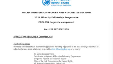 Call for applications: OHCHR Minorities Fellowship Program 2024