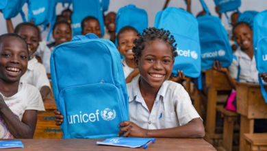 Monitoring and Reporting Home Based Consultancy at UNICEF