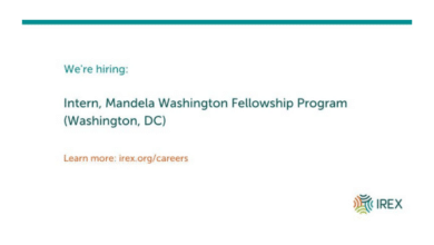 The Mandela Washington Fellowship internship opportunity