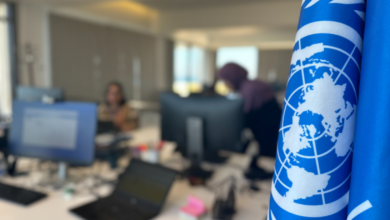 Research and Innovation Intern Job Vacancy at UNDP