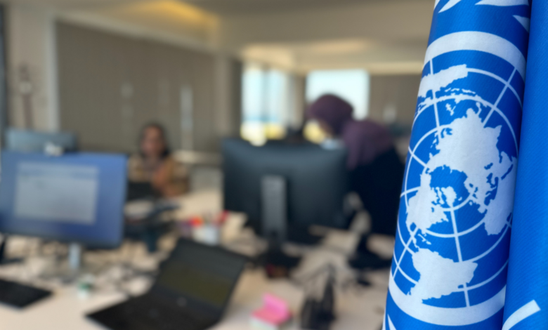 Research and Innovation Intern Job Vacancy at UNDP