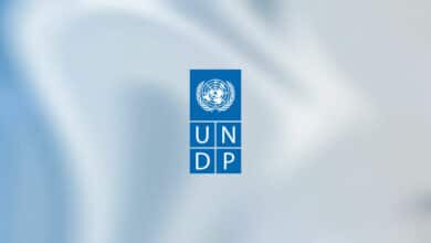 Home-Based Data Quality Assurance Intern at UNDP