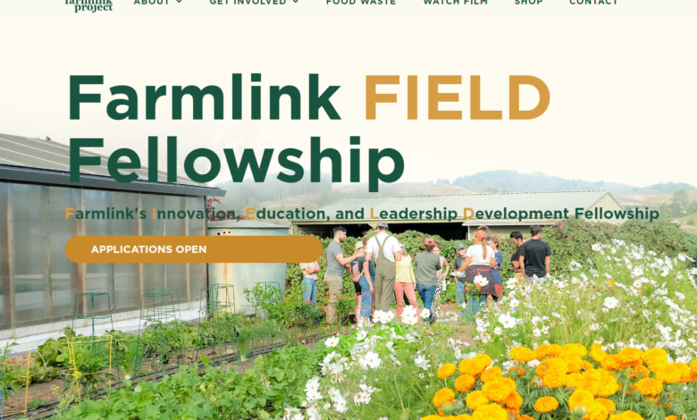 Farmlink FIELD Fellowship: Sustainable solutions within the food space