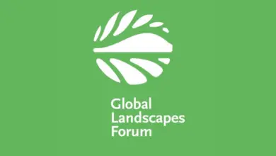 The Global Landscapes Forum (GLF) Youth in Landscapes Network Internship: Home Based