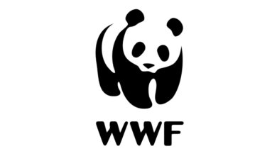 WWF is inviting applications for Public Health Researcher Consultant (remotely working)