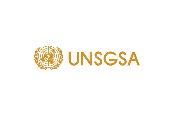 Internship Opportunity at the UN Secretary-General's Special Advocate for Inclusive Finance for Development (UNSGSA)