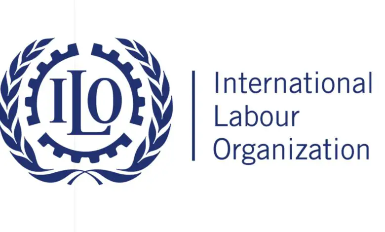 Are you passionate about worker's rights? The International Labour Organization is looking for an International Labour Standards Officer