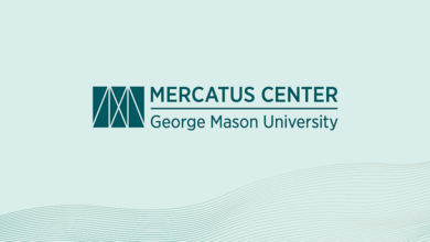 Mercatus MA Fellowship program for students pursuing a master's degree in economics at George Mason University (The total award of up to $80,000)