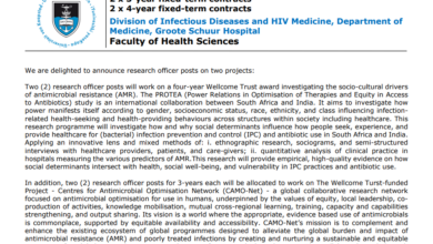 There Are 4 Vacant Research Officer Posts At The University Of Cape Town Health Sciences Faculty