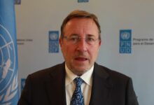 English Editor (International Consultant) at UNDP