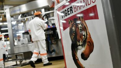 Tiger Brands Is Looking For An Intern: The Internship Will Be Based In Boksburg, Gauteng