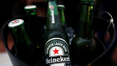 20 Management Trainee Positions For Young South Africans At Heineken Beverages South Africa (The Heineken Beverages Management Trainee Programme)
