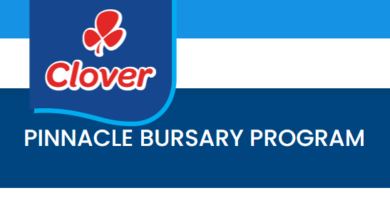 Clover Pinnacle Bursary Program For Young South Africans With Grade 12 National Certificate