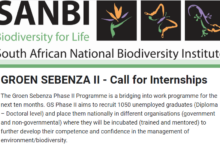 The Groen Sebenza (GS) Phase II Programme Internships For Young South Africans