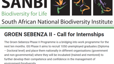 The Groen Sebenza (GS) Phase II Programme Internships For Young South Africans