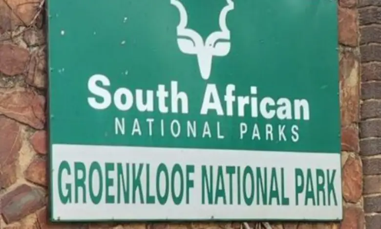 R6030.70 Per Month Internship At The South African National Parks (Graphic Design, Visual Communication, Marketing, Journalism)