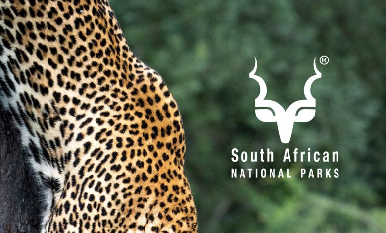 An Internship For Young South Africans That Pays R6030.70 Per Month At SANParks