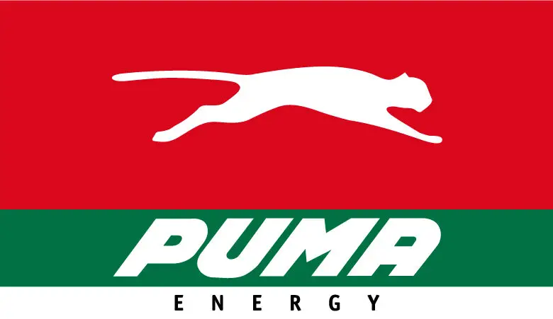 The Puma Energy Africa Graduate Program (South Africa)