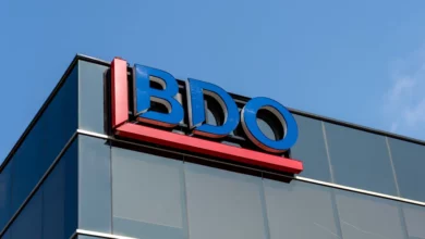 BDO YES Internship Programme For Young South Africans