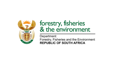 R7,142.00 Per Month Internship Opportunities At The Department of Forestry, Fisheries and the Environment (DFFE)