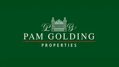 Palm Golding Is Looking For Seven (7) Interns: This Opportunity Is Perfect For Young South Africans Interested In Real Estate