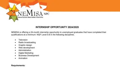 NEMISA 24-month internship opportunity for unemployed graduates in South Africa