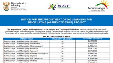 300 Learnership Positions For The Brick Laying Apprenticeship project (The Mpumalanga Tourism and Parks Agency in partnership with The National Skills Fund)
